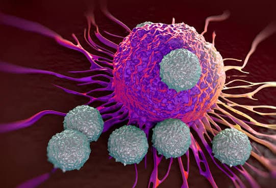 Immunotherapy